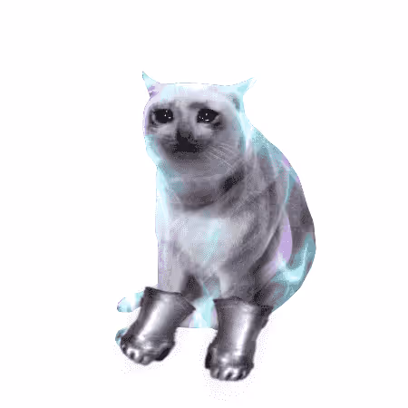 Cash Cat #2568