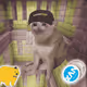 5082