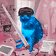 Cash Cat #7673