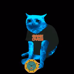 Cash Cat #5165