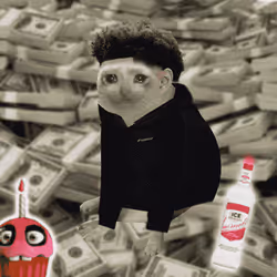 Cash Cat #3229