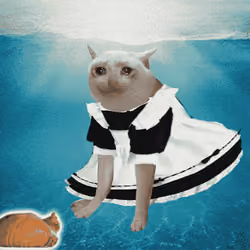 Cash Cat #2196
