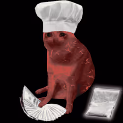 Cash Cat #6914