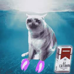 Cash Cat #6008