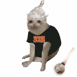 Cash Cat #1214