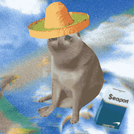 Cash Cat #9482