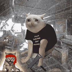Cash Cat #550