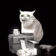 3126