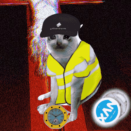 Cash Cat #4194