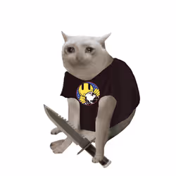 Cash Cat #3449
