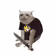 3449