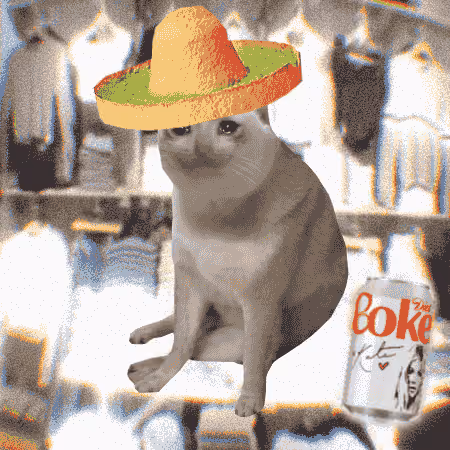 Cash Cat #4676