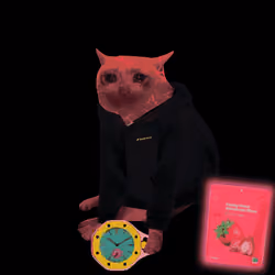 Cash Cat #2274
