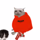 Cash Cat #3130