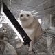 581