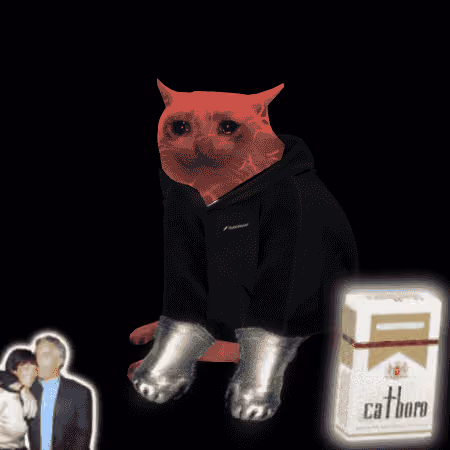 Cash Cat #6579