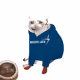 Cash Cat #4846