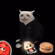 BIGCAT32