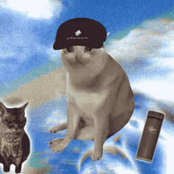Cash Cat #6397
