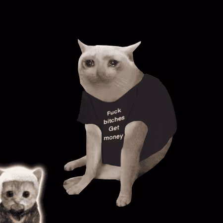 Cash Cat #1737