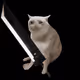 Cash Cat #529