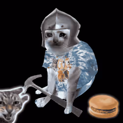 Cash Cat #7940