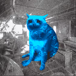Cash Cat #8978