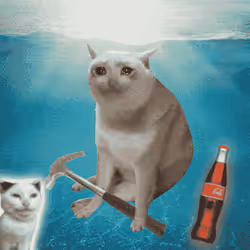 Cash Cat #3906