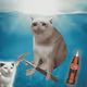 Cash Cat #3906