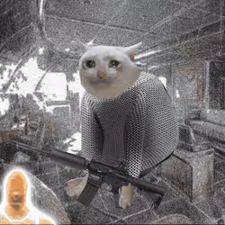 Cash Cat #8008