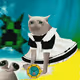 9379