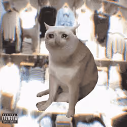 Cash Cat #427
