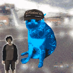 Cash Cat #9267