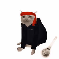 Cash Cat #2793