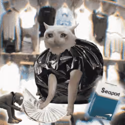 Cash Cat #616
