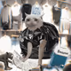 Cash Cat #616
