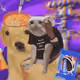 6766