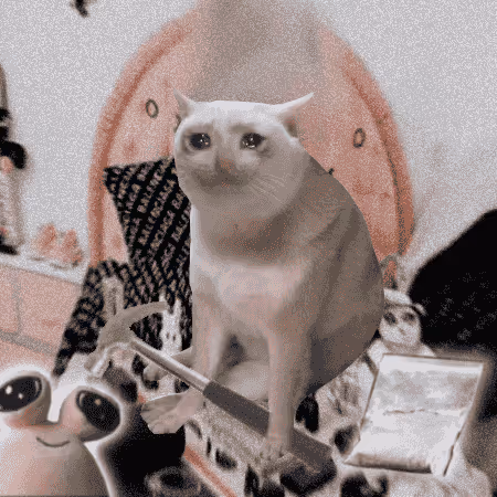 Cash Cat #7473
