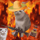 Cash Cat #9902