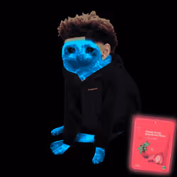Cash Cat #6123