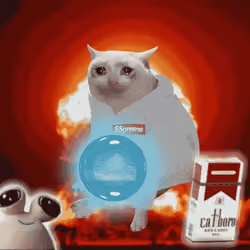 Cash Cat #9848