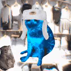 Cash Cat #3748