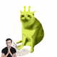 Cash Cat #8778