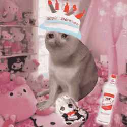 Cash Cat #970