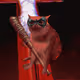 3536