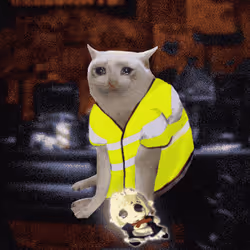 Cash Cat #9550