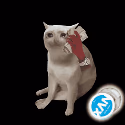 Cash Cat #5668