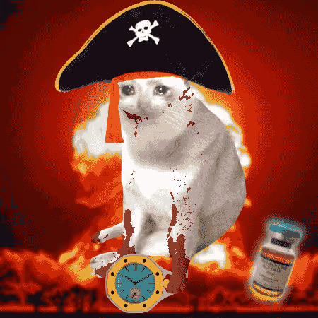 Cash Cat #2016
