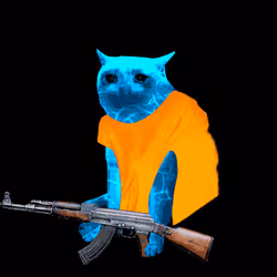 Cash Cat #5277