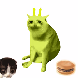 Cash Cat #6793